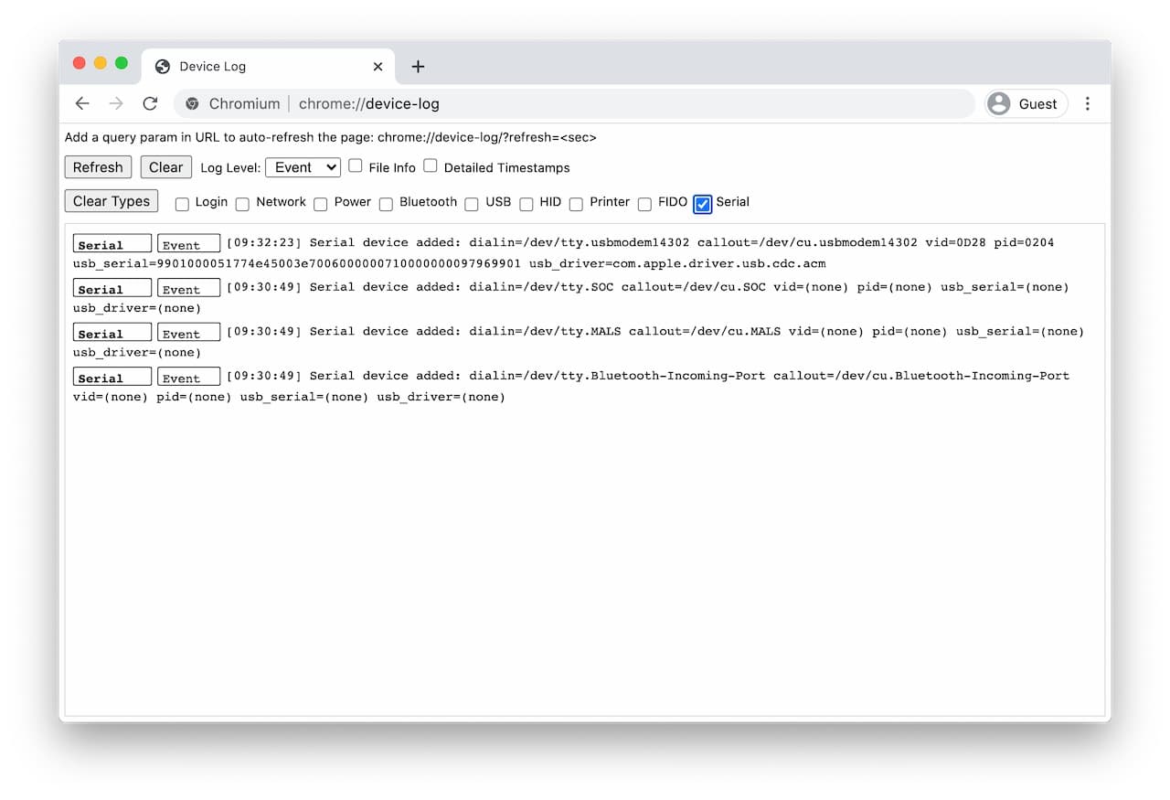 用於偵錯 Web Serial API 的內部頁面螢幕截圖。